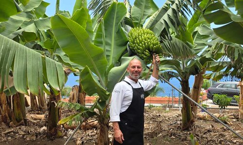 Sabores auténticos, cultivados con cariño